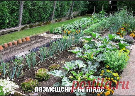 (10) Одноклассники