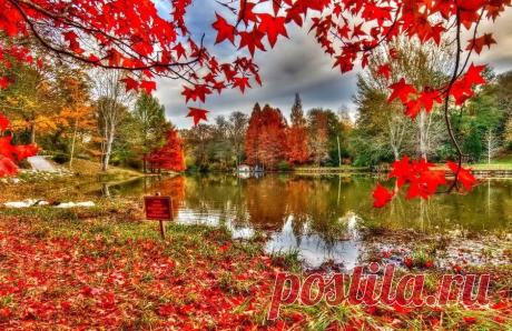 Так умирает осенью природа... НО КАК ОНА КРАСИВО УМИРАЕТ! .