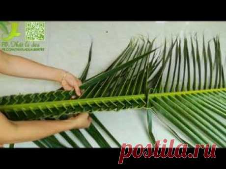 Hướng dẫn đan cọng lá dừa bằng 2 cách đơn giản nhất-CLB thắt lá dừa Bến Tre