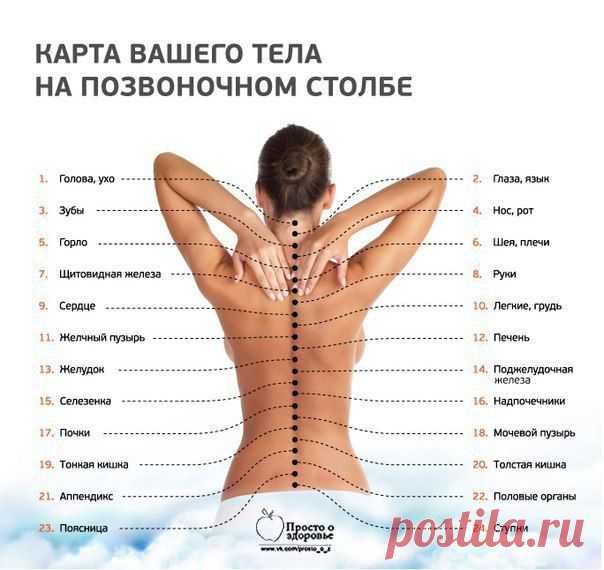 "ЖИЗНЬ БЕЗ ЛЕКАРСТВ" | ВКонтакте