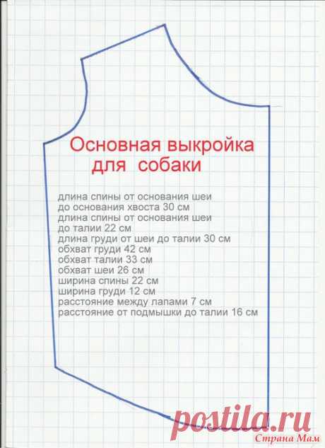 Основная выкройка для собаки (длина спины 30 см, обхват груди 42 см) - Гардероб для наших любимых питомцев (собак, кошек) - Страна Мам