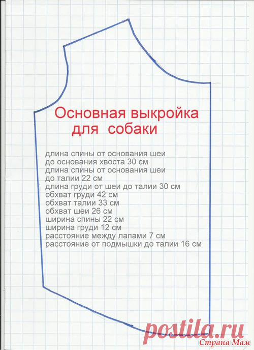 Основная выкройка для собаки (длина спины 30 см, обхват груди 42 см) - Гардероб для наших любимых питомцев (собак, кошек) - Страна Мам