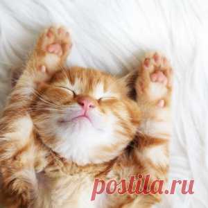 Уроки красивого старения от француженок под 50