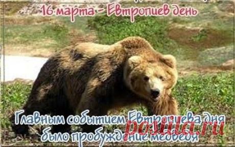 Пусть Евтропиев день принесет удачу и здоровье! Открытки на Евтропиев день!