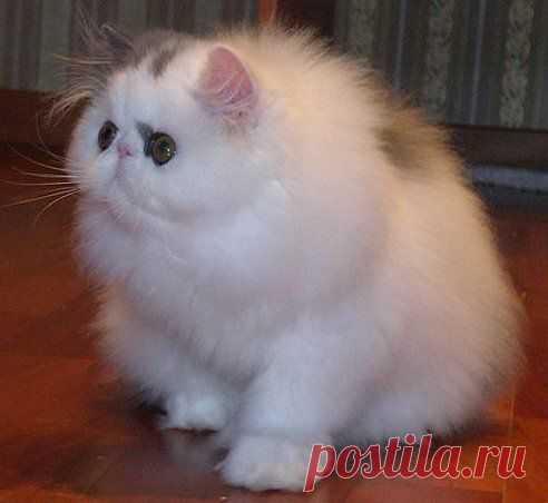 Одноклассники