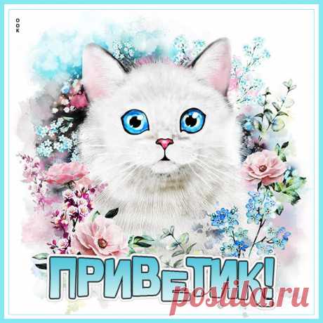 Приветик! Тебя целую и жду ответик!