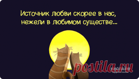Глубокие цитаты Андре Моруа об отношениях
Французкий писатель Андре Моруа завораживает своими высказываниями о любви. Каждая его цитата...
Читай пост далее на сайте. Жми ⏫ссылку выше