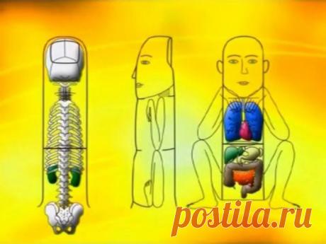 Секреты точечного массажа — 6 соток