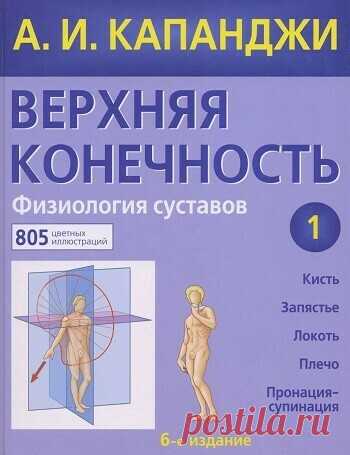 Верхняя конечность. Физиология суставов 2020