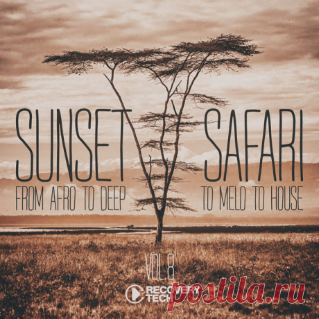 VA - Sunset Safari, Vol. 8 RTCOMP2236 » MinimalFreaks.co