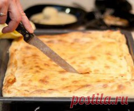 5 советов огороднику на майские праздники | Огород без хлопот