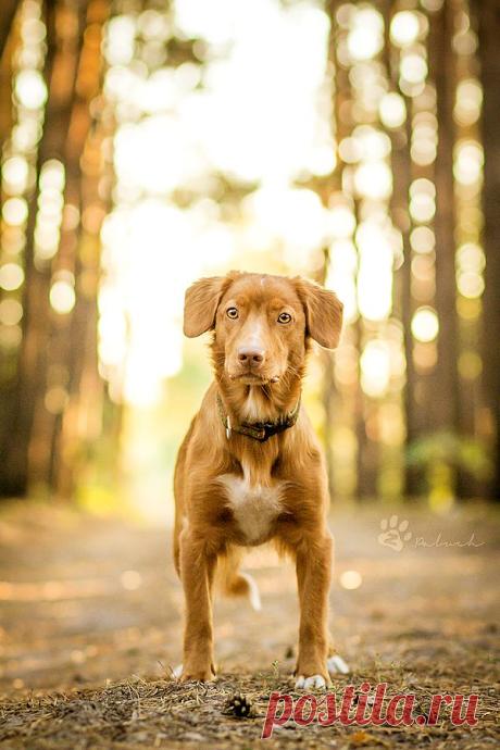 In the woods