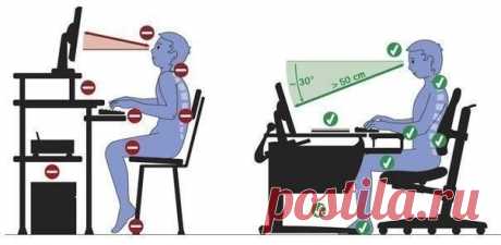 Как не правильно и правильно нужно сидеть за компьютером / Абсолютное здоровье