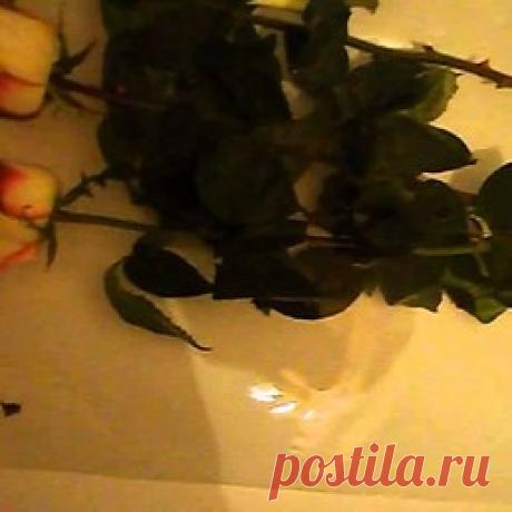 Интересные новости