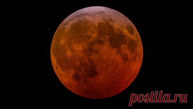 Летчик-космонавт посоветовал полностью не исключать наличие жизни на Луне. Герой России, летчик-космонавт РФ Федор Юрчихин заявил, что отрицать на 100% наличие микрожизни на Луне нельзя. Об этом сообщает РИА Новости. В качестве примера Юрчихин привел эксперименты на Международной космической станции. По словам ...