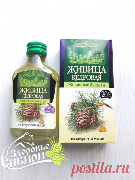 Живица кедровая 20 % на кедровом масле, 100 мл (Алтайский край)