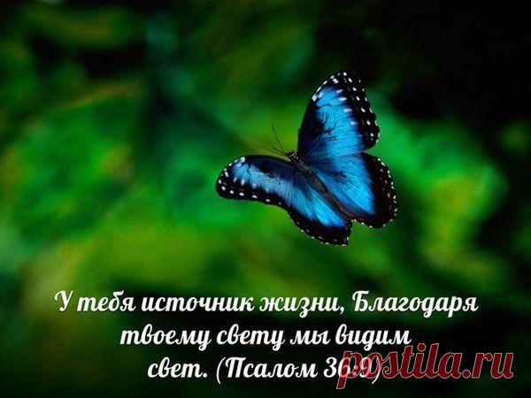 Мой Мир@Mail.Ru