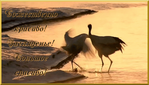 Мой Мир@Mail.Ru