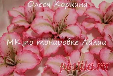 Тонирование цветка, мастер класс | Мастер-классы по рукоделию