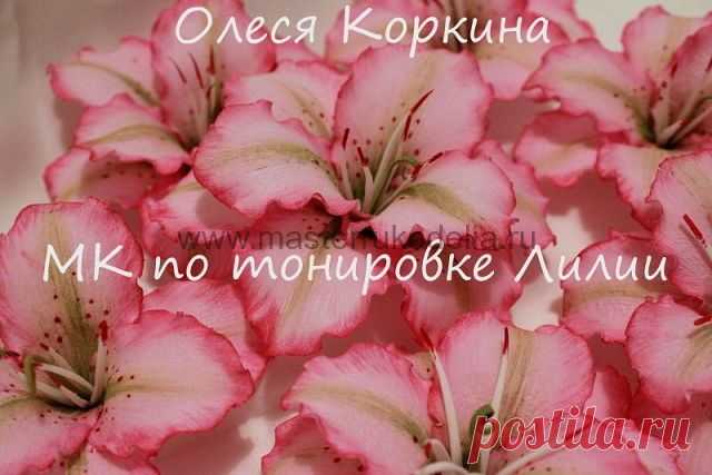Тонирование цветка, мастер класс | Мастер-классы по рукоделию