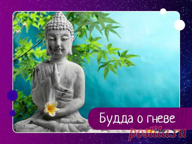 Будда о гневе Гаутама Будда проходил мимо одной деревни, в ней жили противники буддистов. Жители выскочили из домов, окружили его и начали оскорблять. Ученики Будды начали сердиться и уже готовы были дать отпор, но присутствие Учителя действовало успокаивающе. А то, что он сказал, привело в...