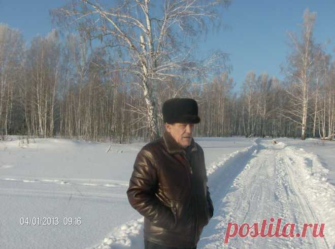 на прогулке в лесу с собаками