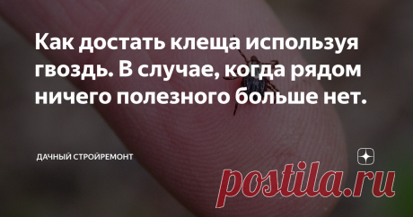 Как достать клеща используя гвоздь. В случае, когда рядом ничего полезного больше нет. В этом году зимних холодов практически не было. В некоторых российских регионах зима вообще больше напоминала весну. А поскольку морозы нас не посетили, популяция клещей в тёплое время года значительно увеличится.
Любителям проводить время на природе подобная новость придётся не по душе. Обычно кровососущие, находящиеся зимой в спячке, погибают из-за сильных холодов. Поскольку многие из них