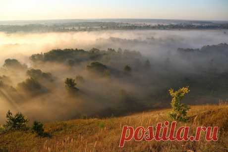 Рассвет в пойме Десны, Брянская область. Автор фото – Константин Савченков: Доброе утро!