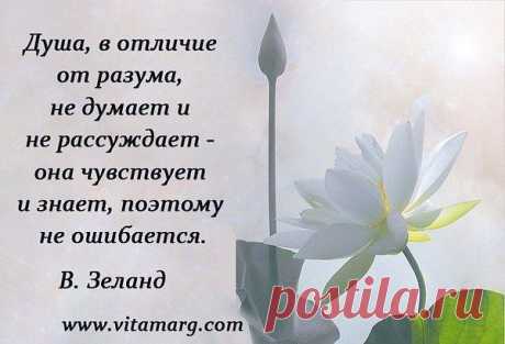 Людмила: Все, что не делается-все к лучшему!!! Было хорошо, станет еще лучше!!!!!