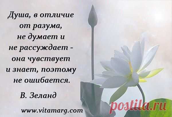 Людмила: Все, что не делается-все к лучшему!!! Было хорошо, станет еще лучше!!!!!