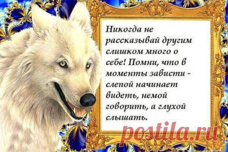 Техника исполнения желаний «Стакан воды» Вадима Зеланда.
Напишите на листке бумаги мыслеформу. К примеру: «Я очень обаятельная личность. От меня исходит внутренний свет обаяния, любви и секса. Я - светящееся существо. Я притягиваю к себе мужчин. Мой мужчина находит меня.»
Поставьте на этот листок стакан воды. Потрите ладони, подвигайте их гармошкой, представьте между ладонями плотный сгусток наподобие воздушного шара. Это ваша энергия. Расположите ладони по бокам стакана, не касаясь его. Прого
