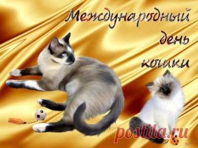 8 августа Международный день кошек!
