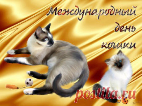 8 августа Международный день кошек! 
Праздники, посвященные этим пушистым питомцам, есть во многих странах. Например, в нашей стране День кошек отмечается 1 марта, в Польше – 17 февраля, в Японии – 22 февраля, а в США их чествуют 29 окт…