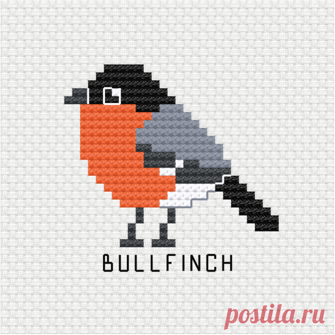 Archivos de animales - Ringcat Design