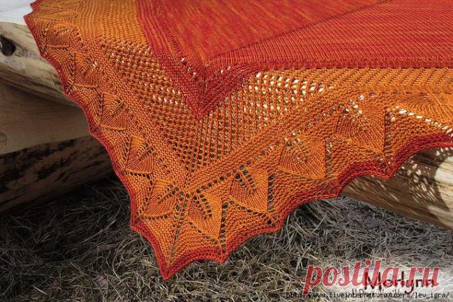 Шаль и Бактус