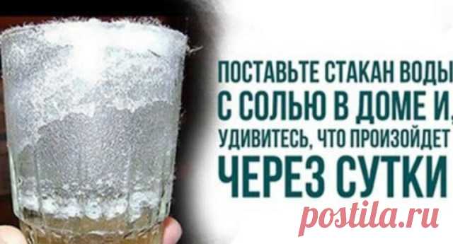 ПОСТАВЬТЕ ДОМА СТАКАН С ВОДОЙ, СОЛЬЮ И УКСУСОМ. ЧЕРЕЗ СУТКИ ВЫ УВИДИТЕ ТО, ЧТО СКРЫТО ОТ ВАШИХ ГЛАЗ!
