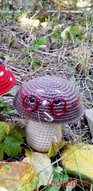 PDF Мухомор и Боровик крючком. FREE crochet pattern; Аmigurumi toy patterns. Амигуруми схемы и описания на русском. Вязаные игрушки и поделки своими руками #amimore - мухомор, гриб, грибок, грибочек, грибы, грибочки.