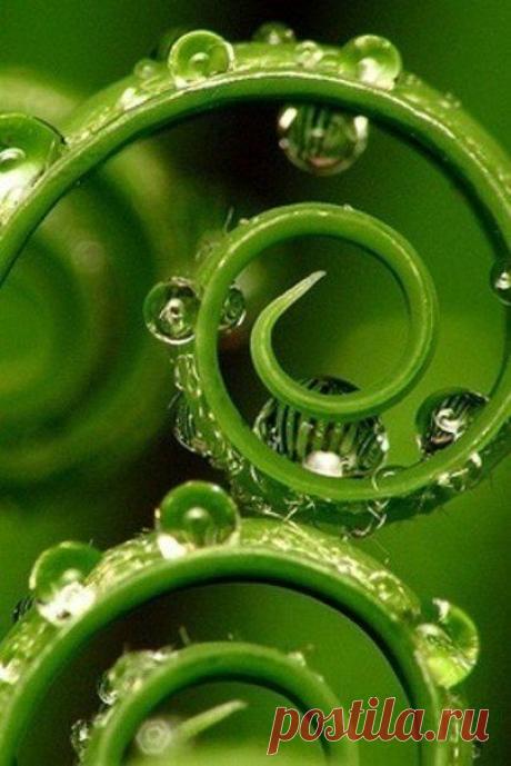 d7Nq5iq24uk.jpg (403×604)