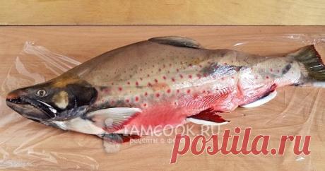 Красная рыба в духовке, рецепт с фото