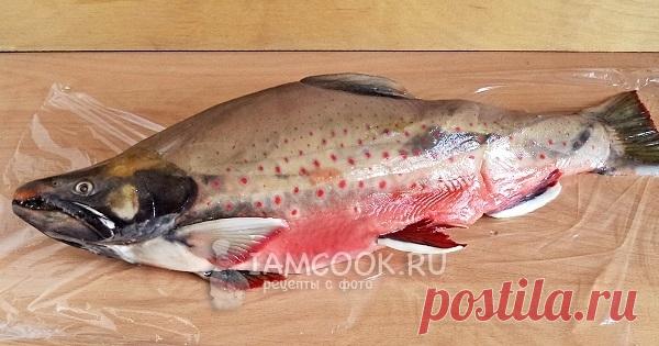 Красная рыба в духовке, рецепт с фото