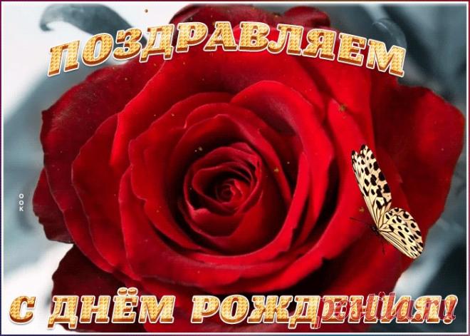 Милая открытка с днем рождения женщине - приятное и искреннее поздравление онлайн. Милая открытка с днем рождения женщине, скачать и отправить бесплатно.