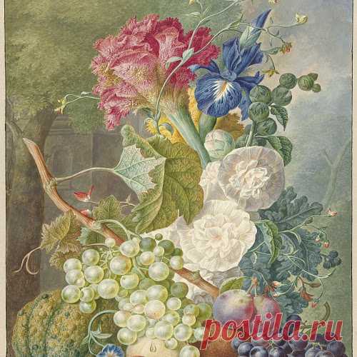 Still Life with Flowers and Fruit, Jan van Os, c. 1775 - c. 1800 - Rijksmuseum