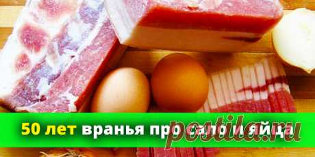 50 лет вранья про сало и яйца | Полезные советы