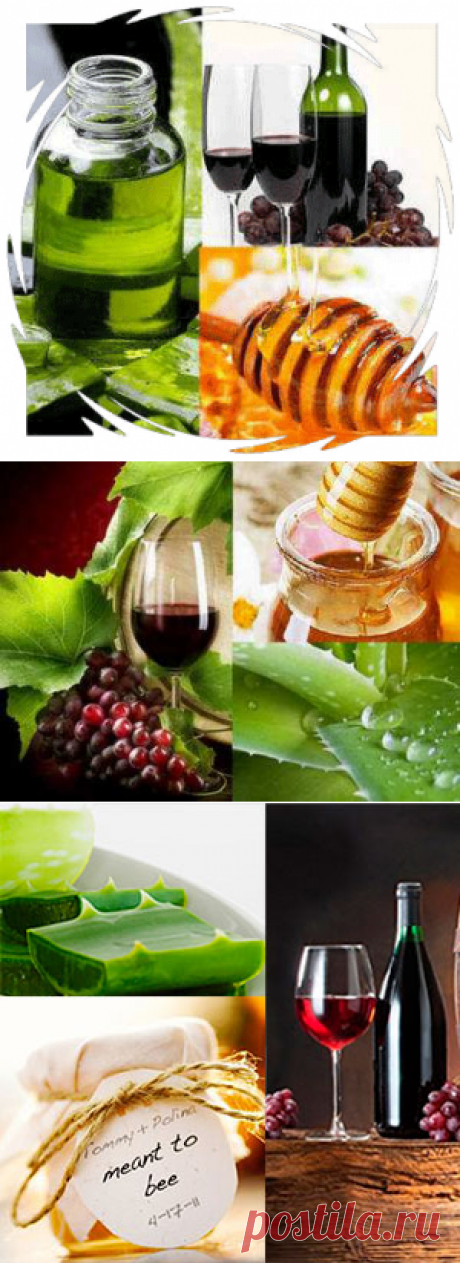 &gt;АЛОЭ С МЕДОМ И КАГОРОМ: ТРОЙНАЯ СИЛА