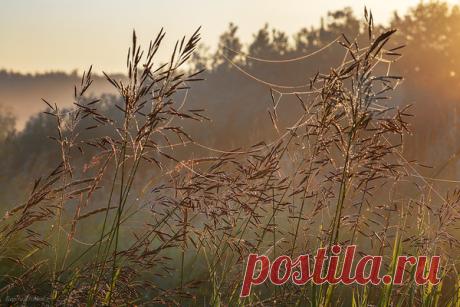 Мой Мир@Mail.Ru