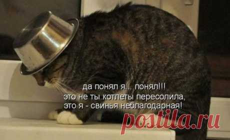 Мой Мир@Mail.Ru