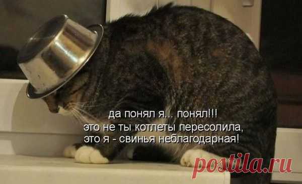 Мой Мир@Mail.Ru