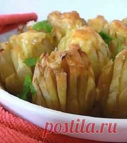 картошка
