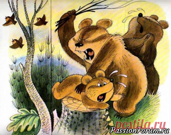 ​Сёма и ремень - запись пользователя Наталья (Наталья) в сообществе Болталка в категории Разговоры на любые темы