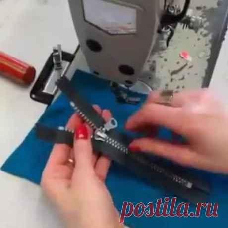 (6) Елена Пустошинская